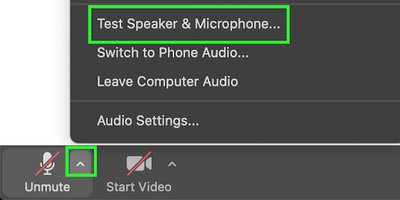 Zoom Menu - Select Test Speaker and Microphone