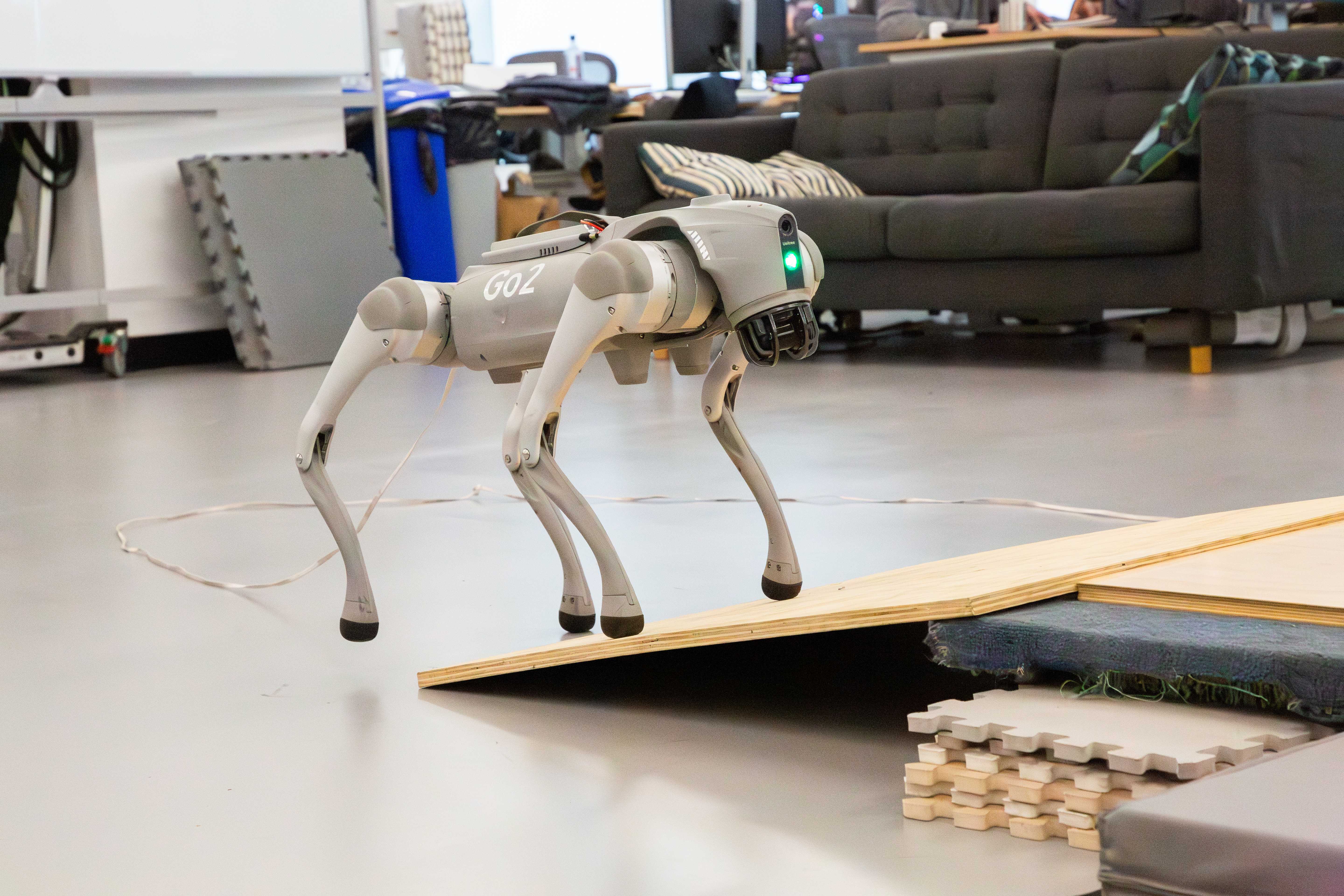 Center for Robotics and Embodied Intelligence