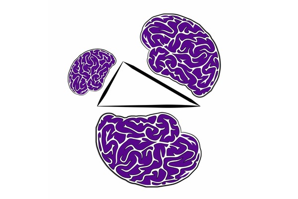 Logo for Lab for the Developing Mind