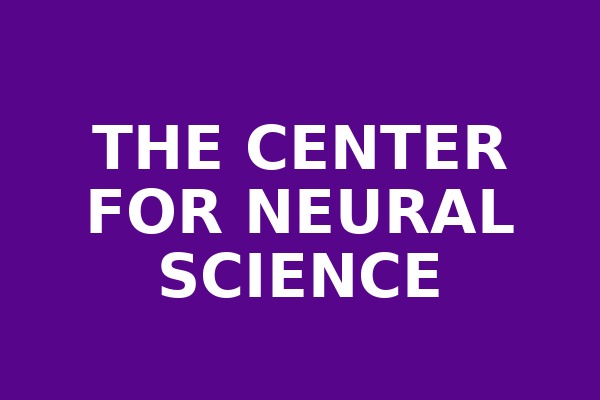 CNS logo